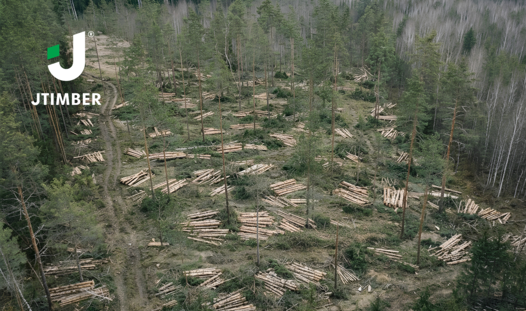 Drone-Based Wood Measurements Now Applied in the Operations of JTimber and JRanga
